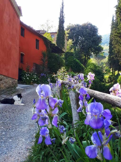 Ferienwohnung Uno Spazio Di Relax In Toscana Buti Exterior foto
